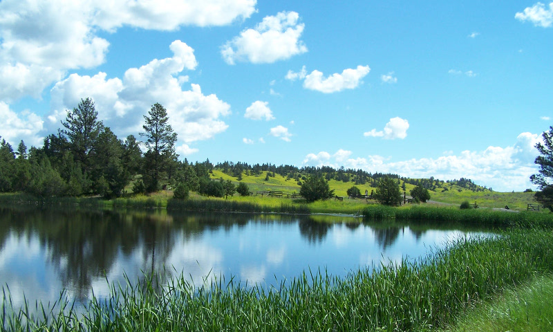 Lake Lucy and pasture land along Cabin Creek summer solstice 2014